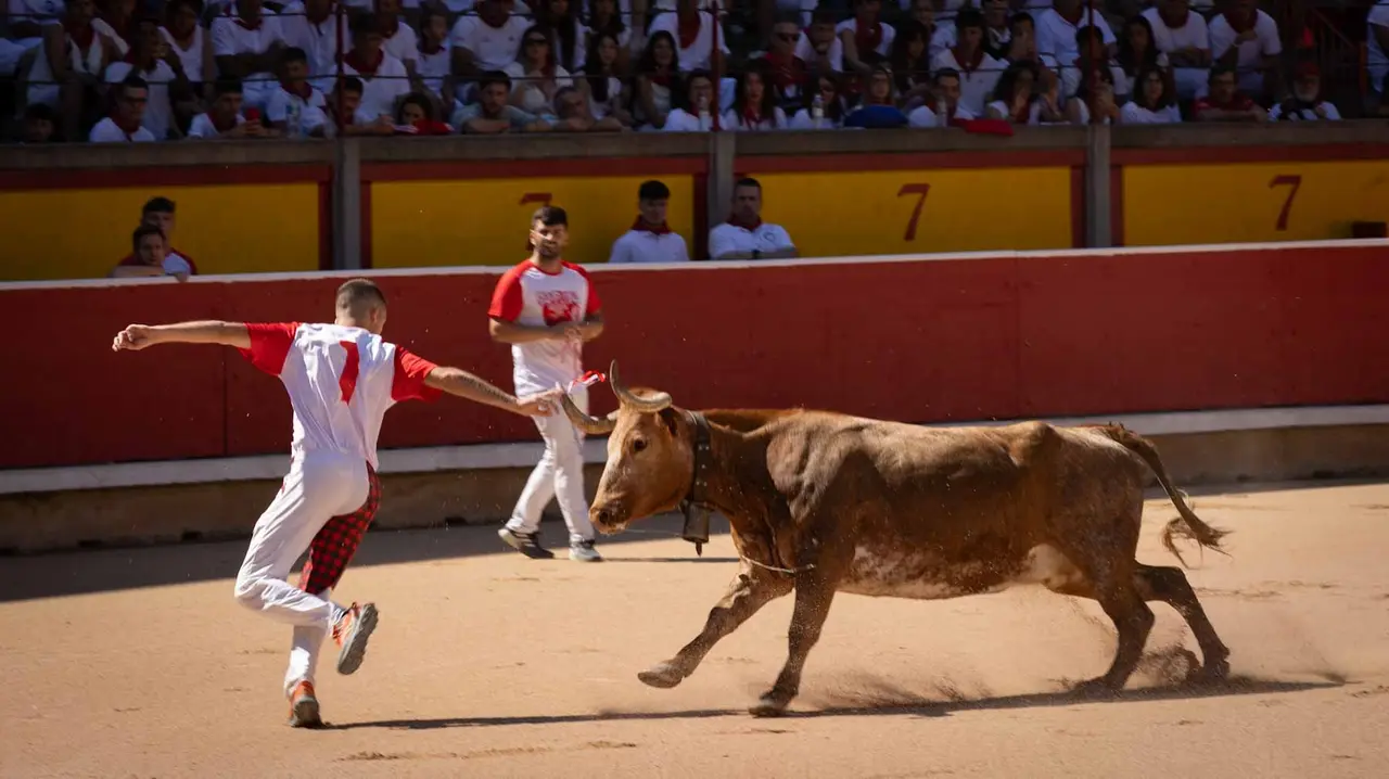 Concurso de anillas en la plaza de toros de Pamplona. Maite H. Mateo..-02