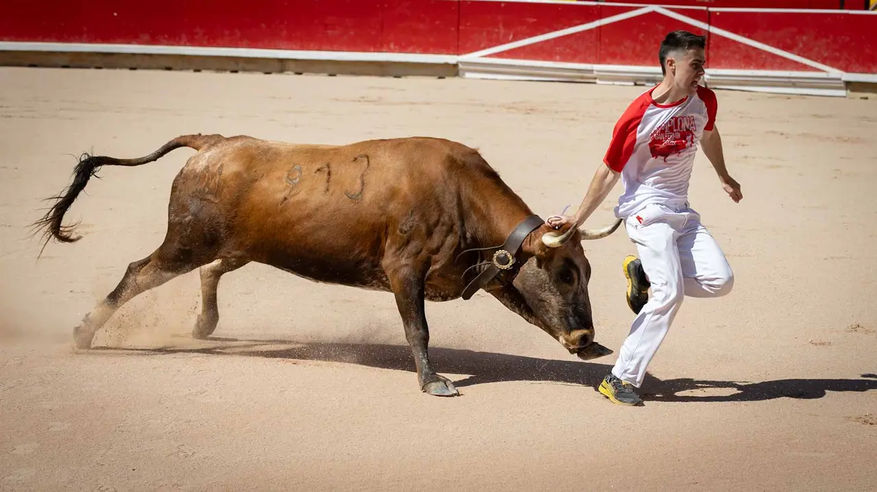 Concurso de anillas en la plaza de toros de Pamplona. Maite H. Mateo..-04