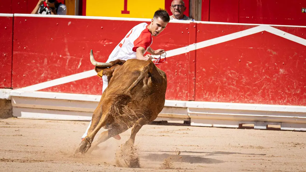 Concurso de anillas en la plaza de toros de Pamplona. Maite H. Mateo..-05