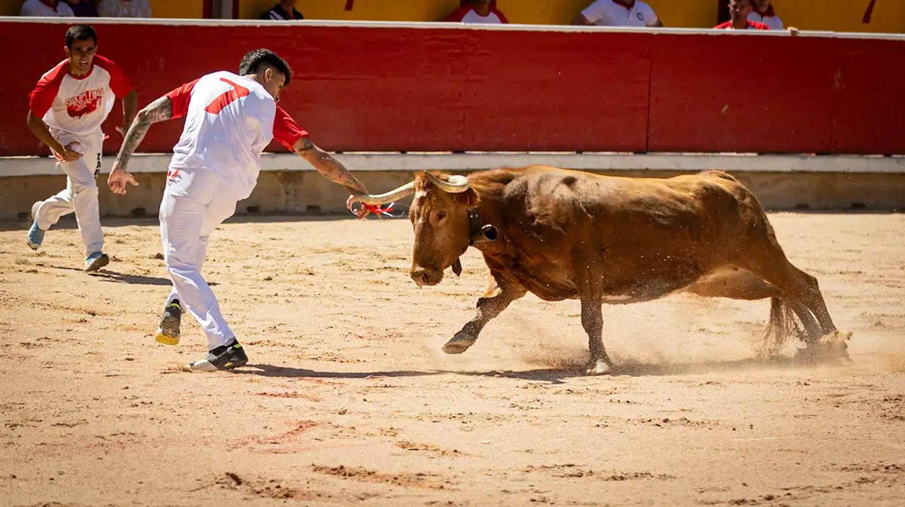 Concurso de anillas en la plaza de toros de Pamplona. Maite H. Mateo..-11