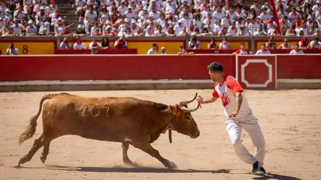Concurso de anillas en la plaza de toros de Pamplona. Maite H. Mateo..-14