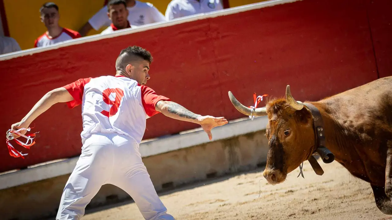 Concurso de anillas en la plaza de toros de Pamplona. Maite H. Mateo..-18