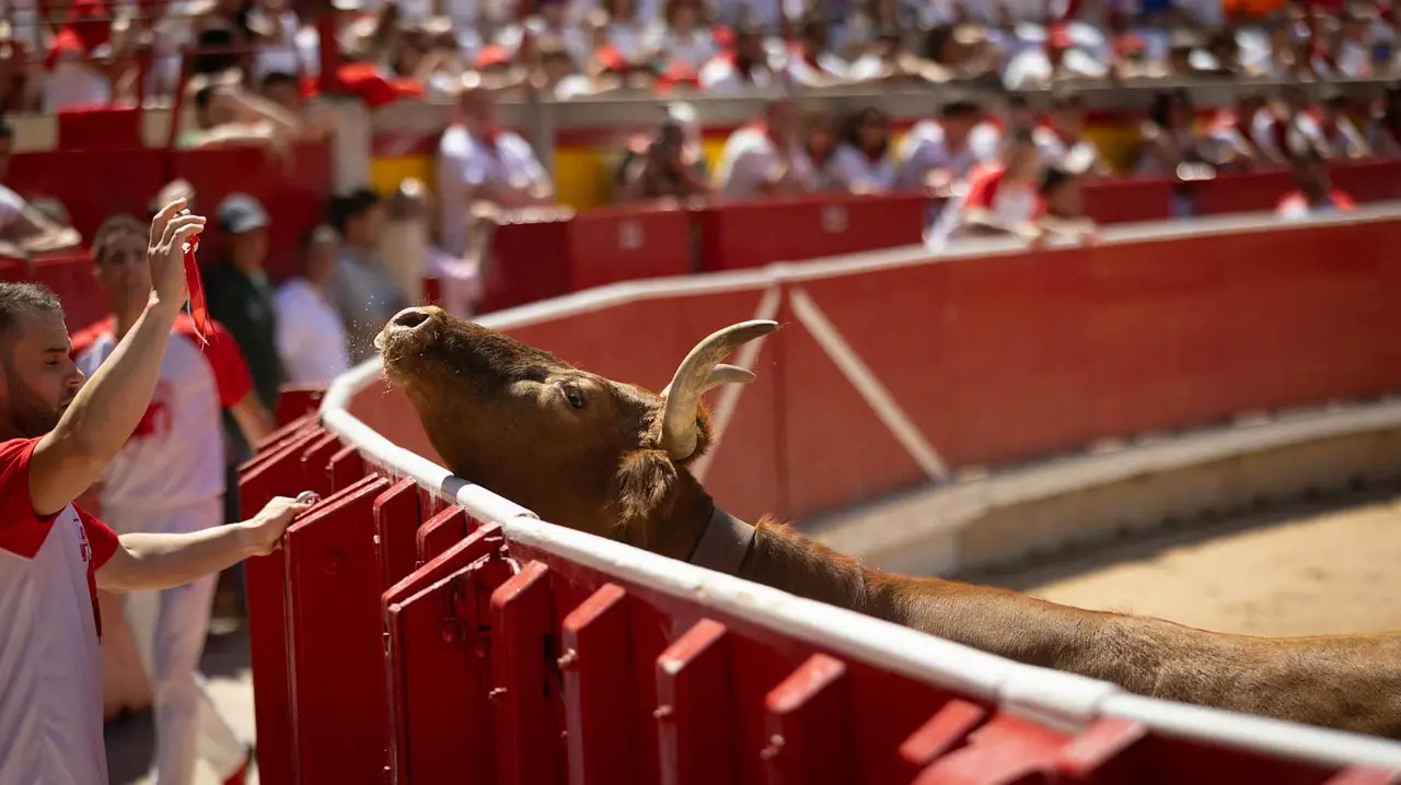 Concurso de anillas en la plaza de toros de Pamplona. Maite H. Mateo..-17