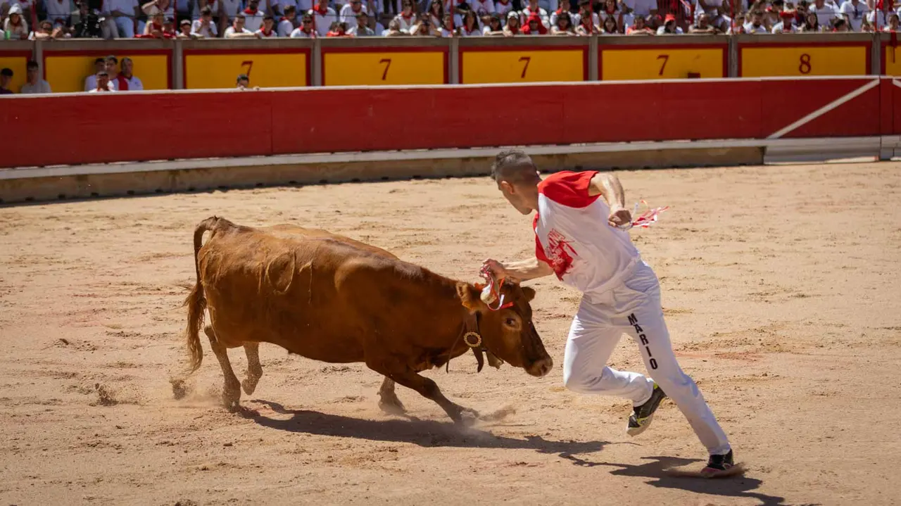Concurso de anillas en la plaza de toros de Pamplona. Maite H. Mateo..-19
