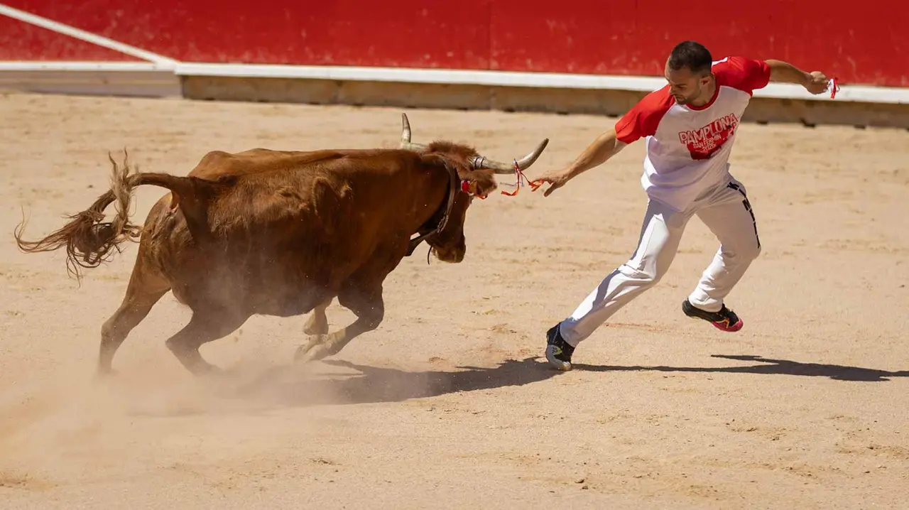 Concurso de anillas en la plaza de toros de Pamplona. Maite H. Mateo..-21