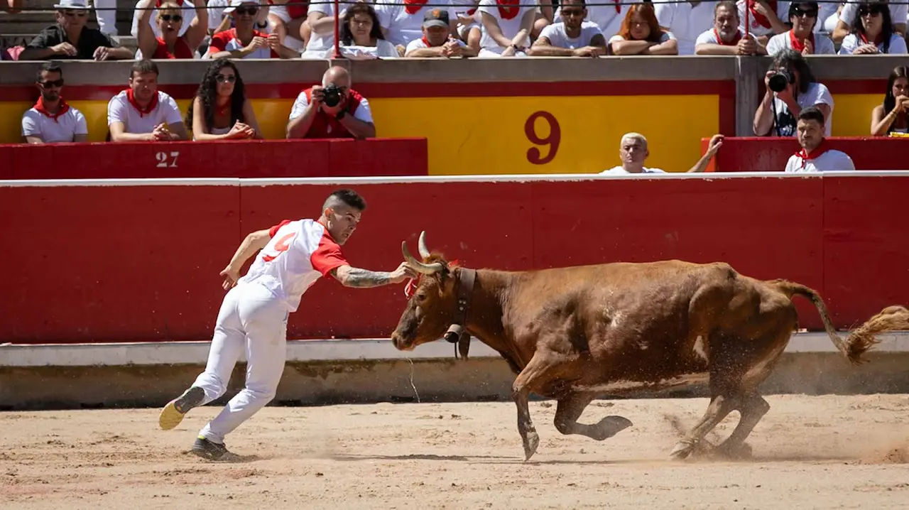 Concurso de anillas en la plaza de toros de Pamplona. Maite H. Mateo..-22