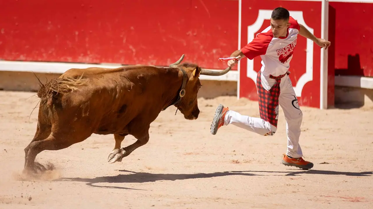 Concurso de anillas en la plaza de toros de Pamplona. Maite H. Mateo..-23