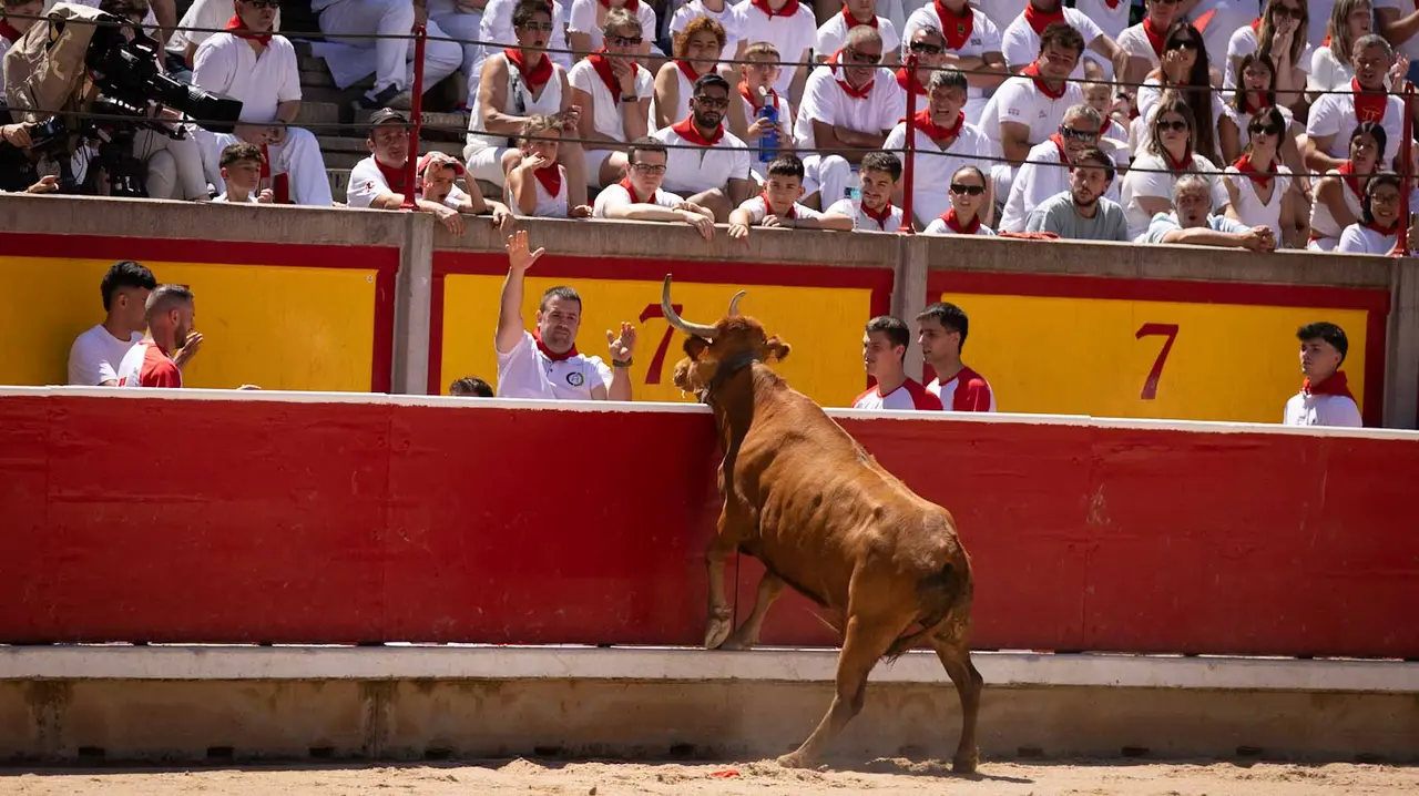 Concurso de anillas en la plaza de toros de Pamplona. Maite H. Mateo..-25