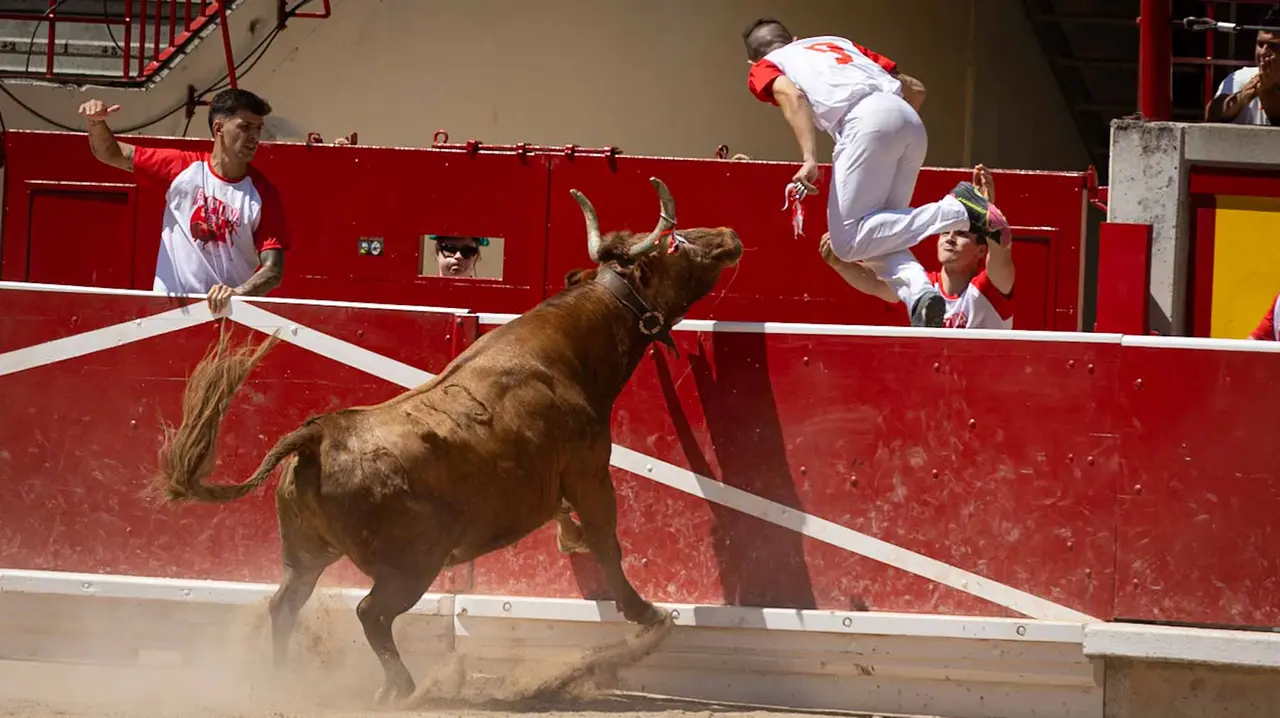 Concurso de anillas en la plaza de toros de Pamplona. Maite H. Mateo..-26