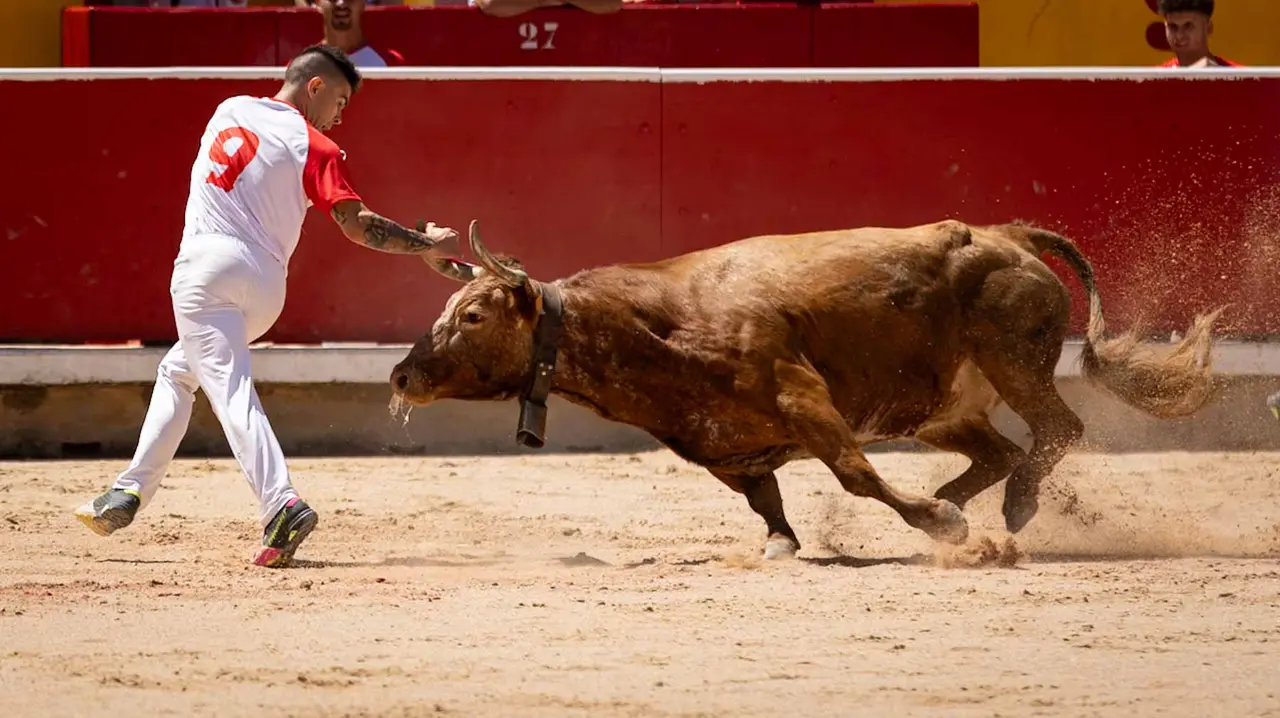 Concurso de anillas en la plaza de toros de Pamplona. Maite H. Mateo..-27