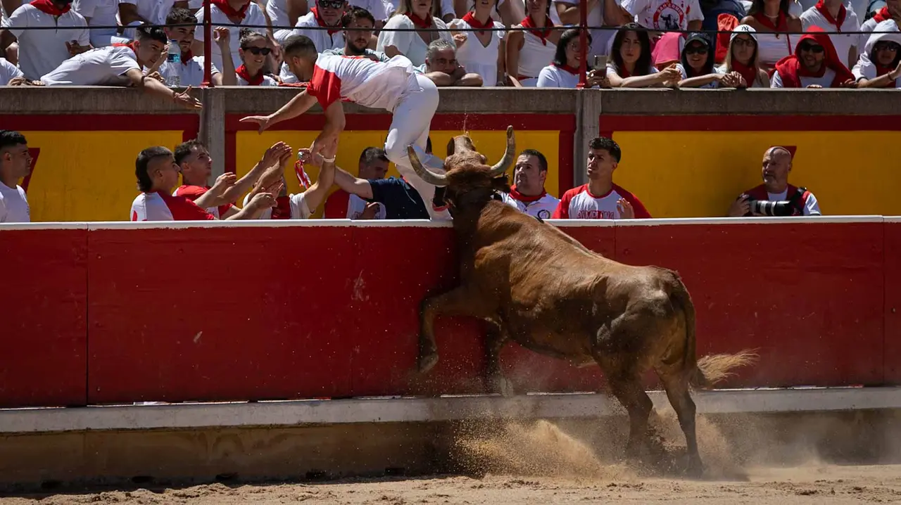 Concurso de anillas en la plaza de toros de Pamplona. Maite H. Mateo..-28
