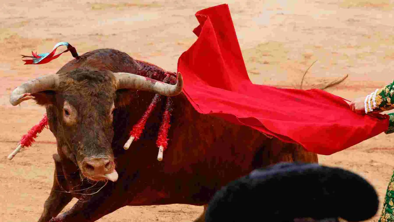 El torero Ginés Marín durante la lidia a su primer toro de la tarde en la novena de abono de la Feria de Toro de los Sanfermines 2025 con toros de la ganadería gaditana La Palmosilla y en la que comparte cartel con los diestros Jiménez Fortes y Fernando Adrián. EFE/Jesús Diges