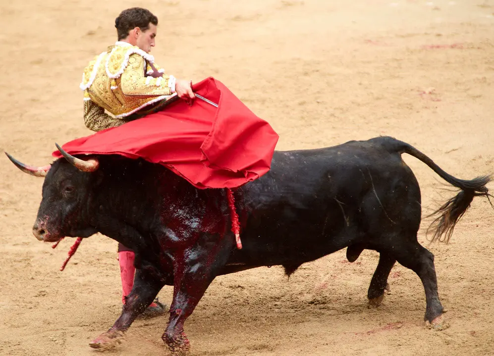 Séptima corrida de la Feria del Toro de San Fermín 2025 con toros de La Palmosilla para Jiménez Fortes, Fernando Adrián y Ginés Marín. IÑIGO ALZUGARAY