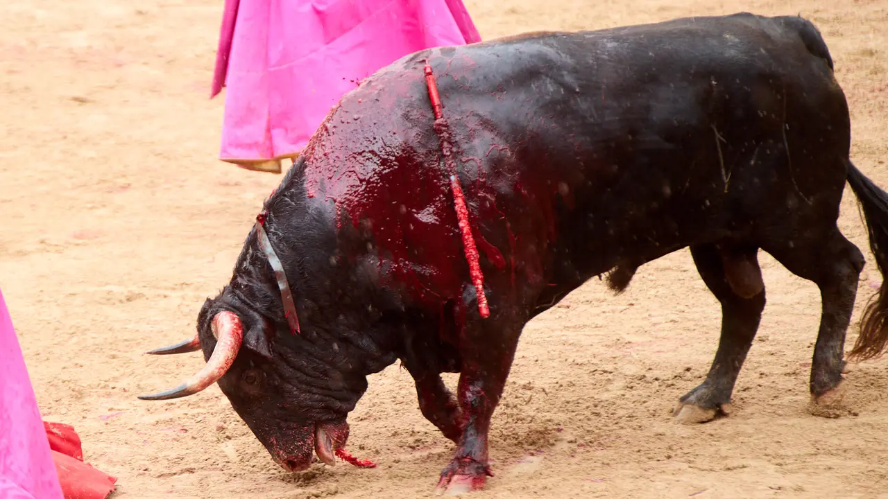 Séptima corrida de la Feria del Toro de San Fermín 2025 con toros de La Palmosilla para Jiménez Fortes, Fernando Adrián y Ginés Marín. IÑIGO ALZUGARAY