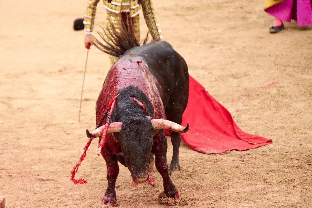 Séptima corrida de la Feria del Toro de San Fermín 2025 con toros de La Palmosilla para Jiménez Fortes, Fernando Adrián y Ginés Marín. IÑIGO ALZUGARAY