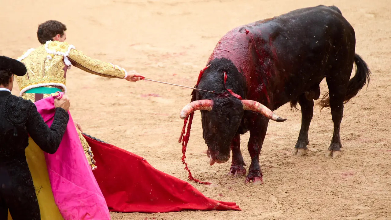 Séptima corrida de la Feria del Toro de San Fermín 2025 con toros de La Palmosilla para Jiménez Fortes, Fernando Adrián y Ginés Marín. IÑIGO ALZUGARAY