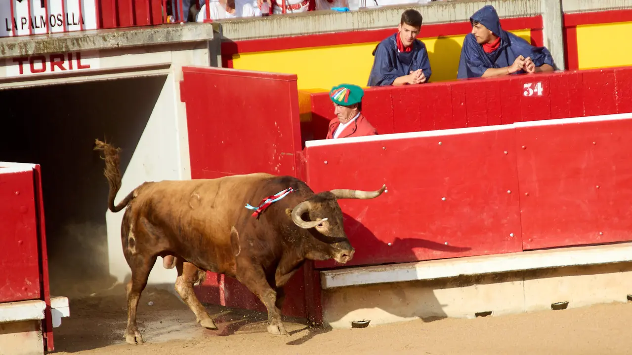Séptima corrida de la Feria del Toro de San Fermín 2025 con toros de La Palmosilla para Jiménez Fortes, Fernando Adrián y Ginés Marín. IÑIGO ALZUGARAY
