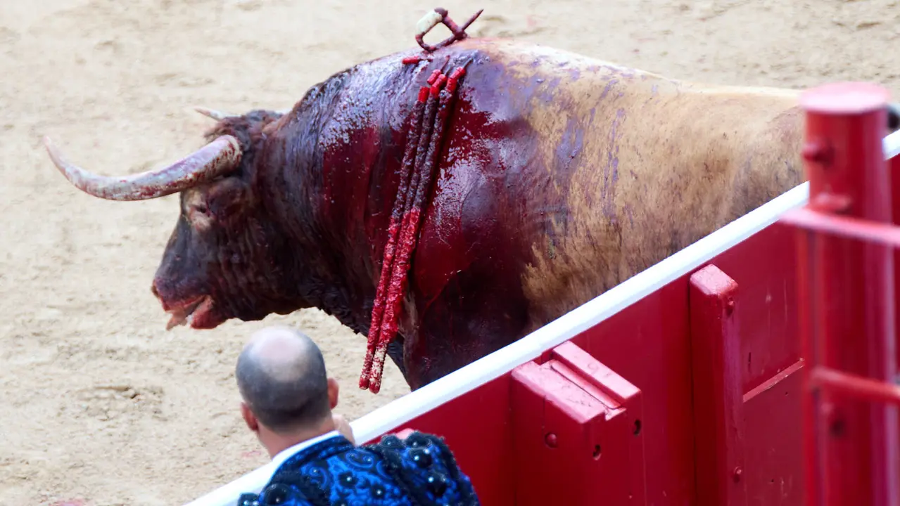 Séptima corrida de la Feria del Toro de San Fermín 2025 con toros de La Palmosilla para Jiménez Fortes, Fernando Adrián y Ginés Marín. IÑIGO ALZUGARAY