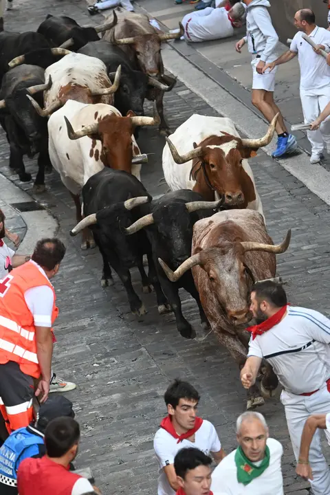 Octavo encierro de San Fermín 2025 el día 14 de julio con toros de Miura en Santo Domingo. EFE - JOSE LUIS LARRIÓN (2)