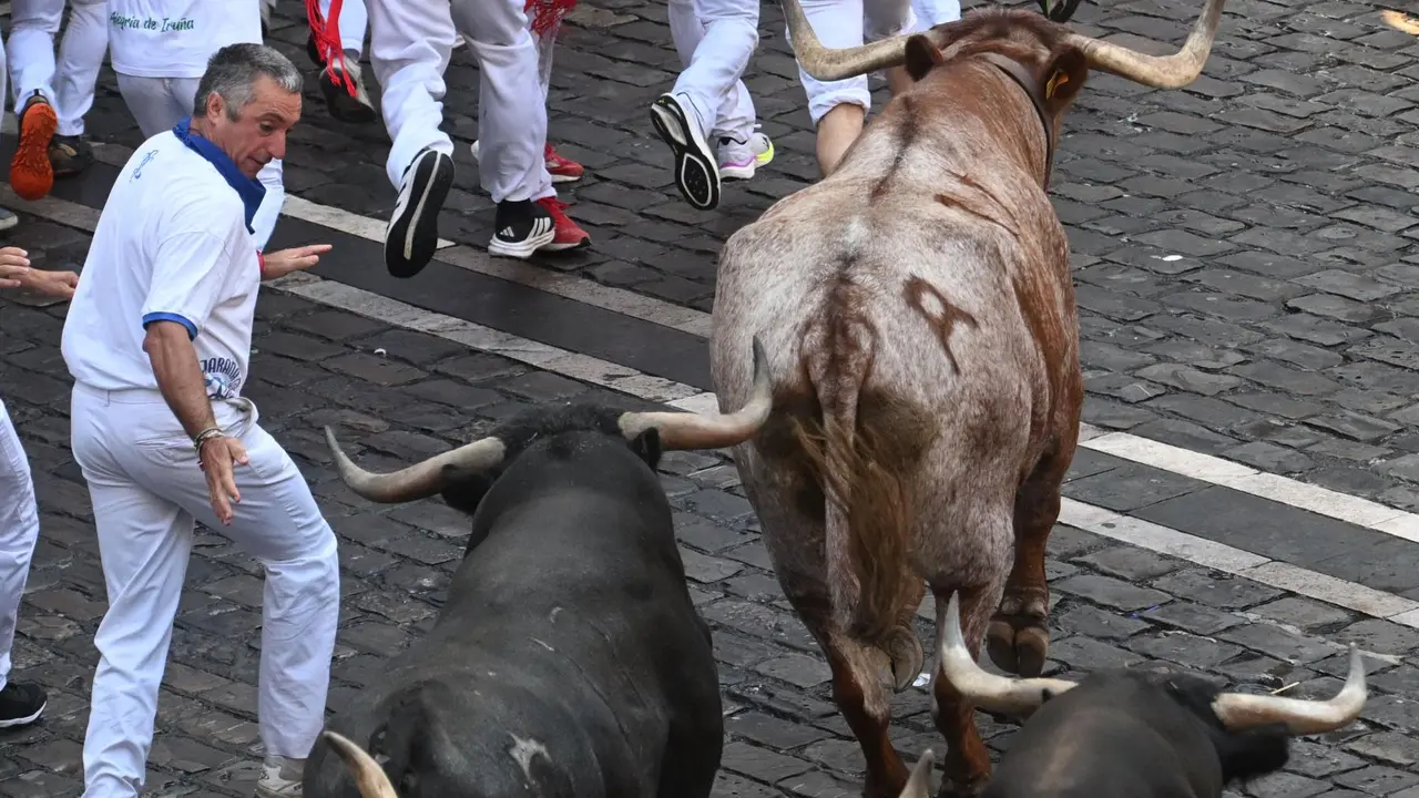 Octavo encierro de San Fermín 2025 el día 14 de julio con toros de Miura en la plaza del Ayuntamiento. EFE - JOSE LUIS LARRIÓN (1)