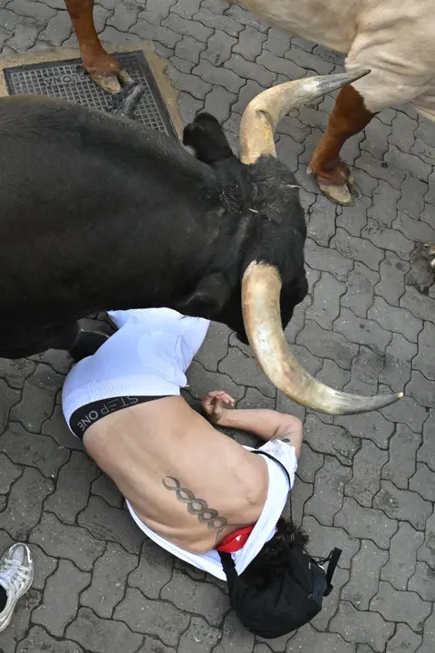 Séptimo encierro de San Fermín 2025 el día 13 de julio con toros de La Palmosilla en Telefónica. EFE - DANIEL FERNÁNDEZ (8)
