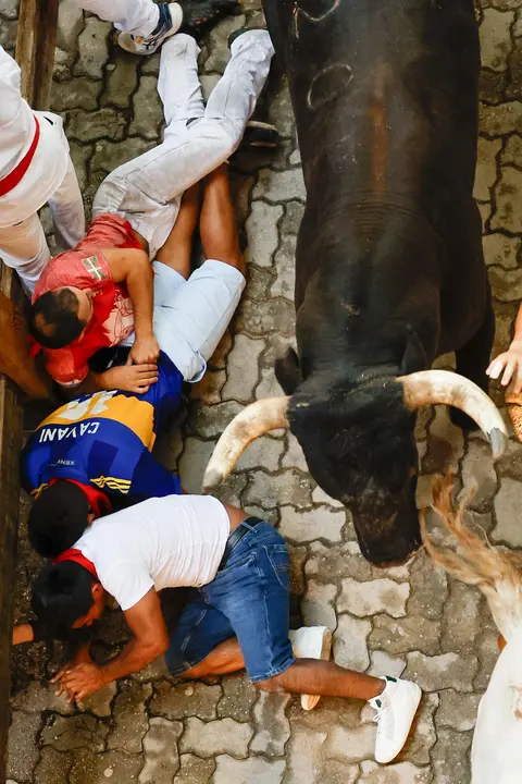 Octavo encierro de San Fermín 2025 el día 14 de julio con toros de Miura en la bajada al callejón. EFE - VILLAR LÓPEZ (2)