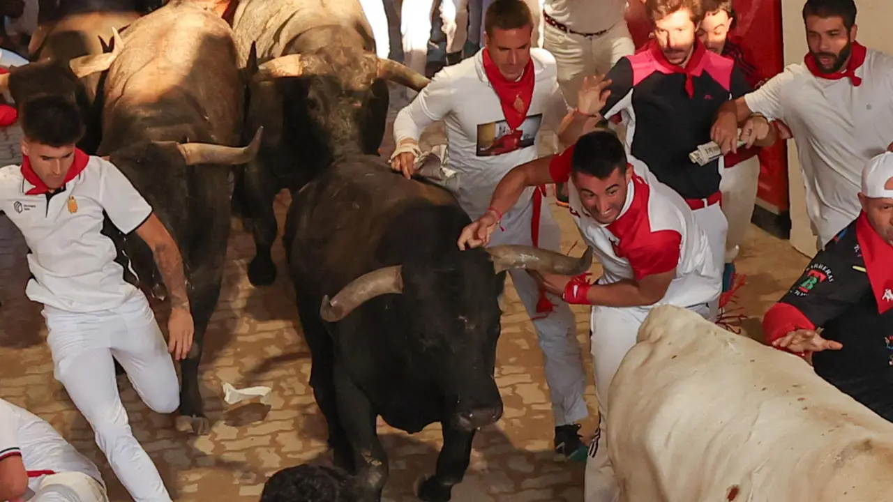 Octavo encierro de San Fermín 2025 el día 14 de julio con toros de Miura en el callejón. EFE - J.P. URDIROZ (2)