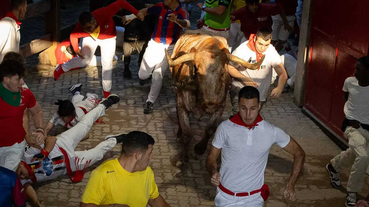 Octavo encierro de San Fermín con toros de Miura en callejón entrada plaza. Maite H. Mateo..-02