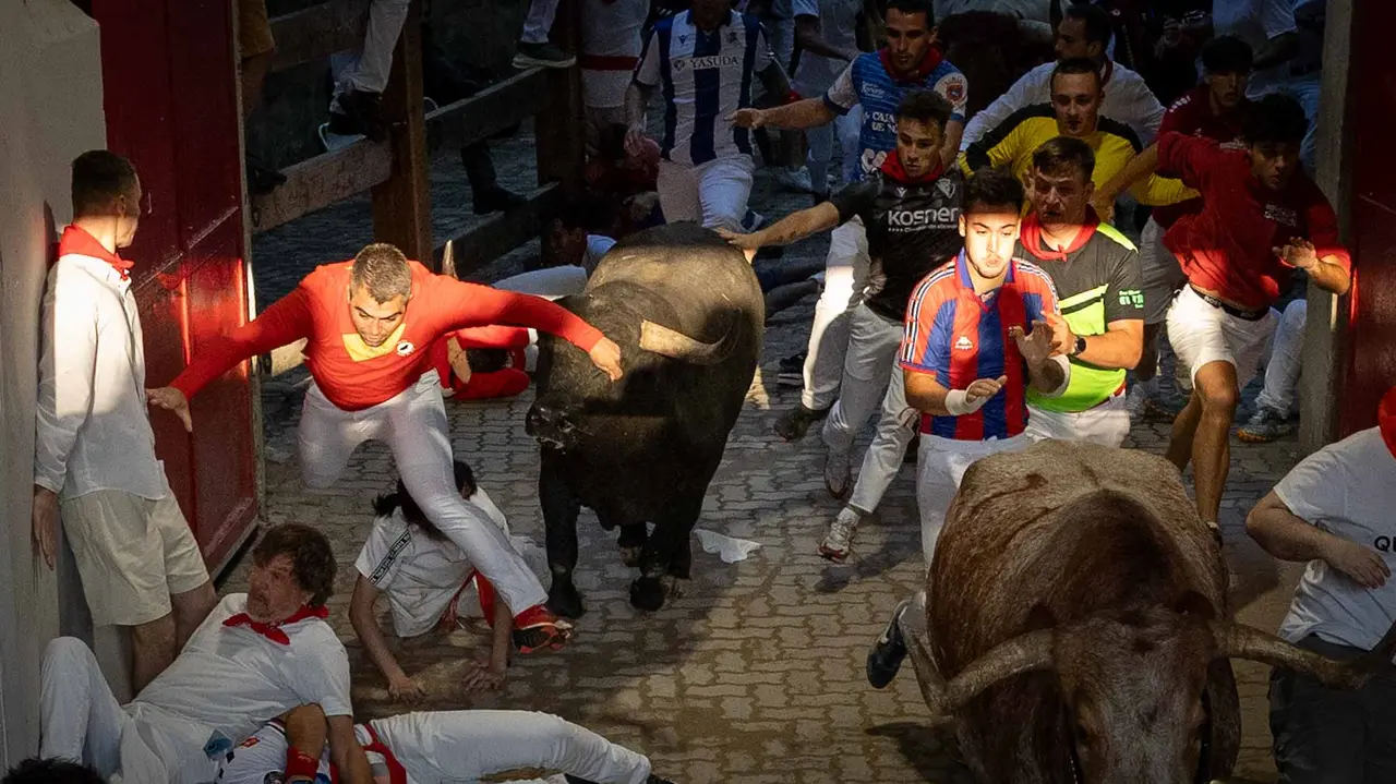 Octavo encierro de San Fermín con toros de Miura en callejón entrada plaza. Maite H. Mateo..-04