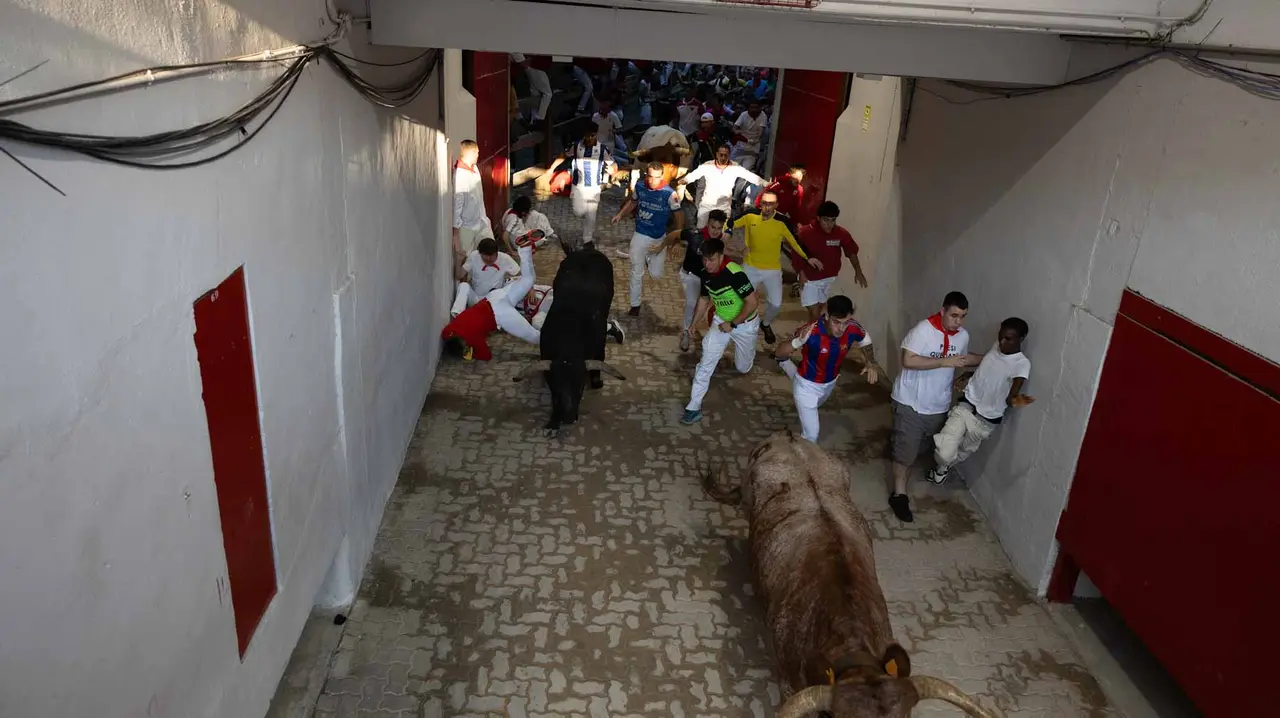 Octavo encierro de San Fermín con toros de Miura en callejón entrada plaza. Maite H. Mateo..-07