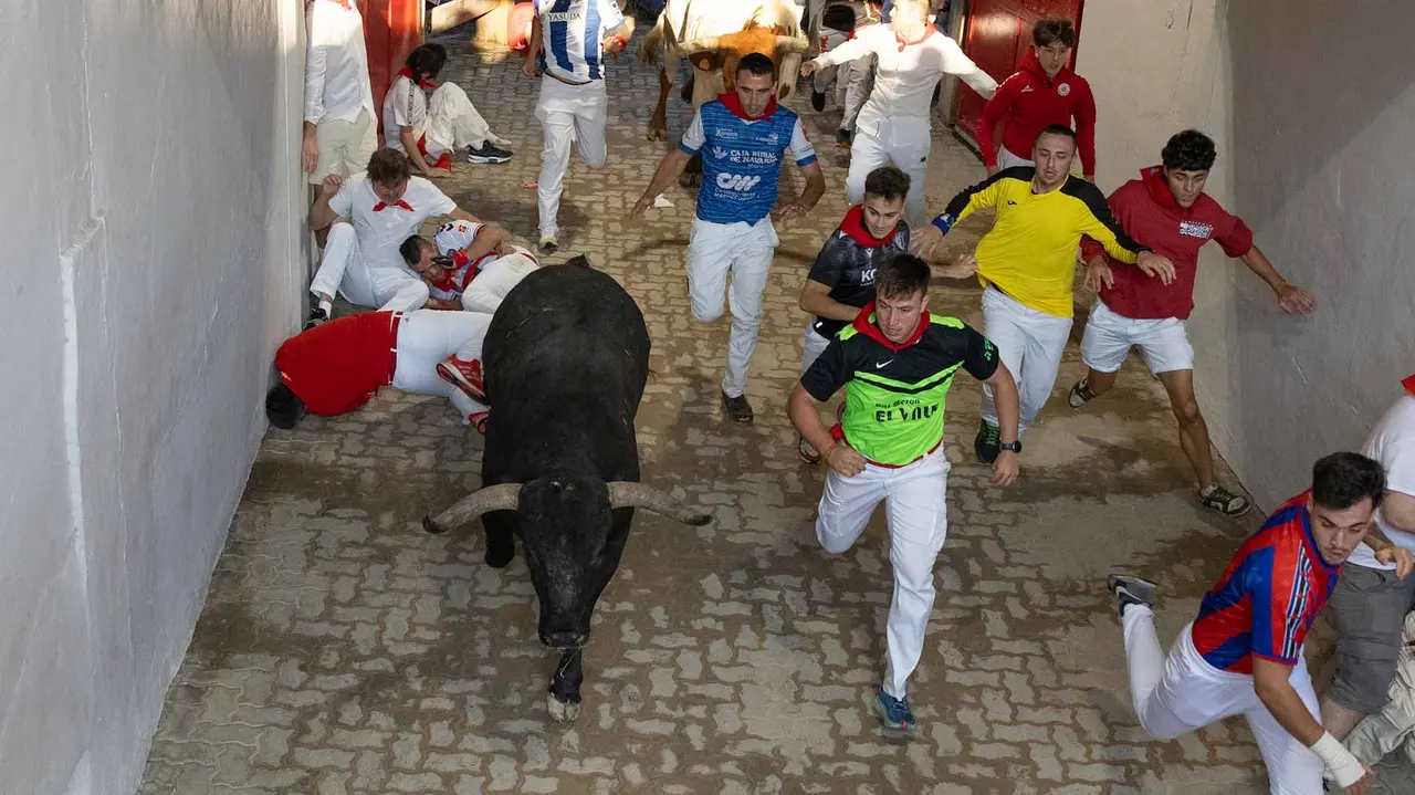 Octavo encierro de San Fermín con toros de Miura en callejón entrada plaza. Maite H. Mateo..-08