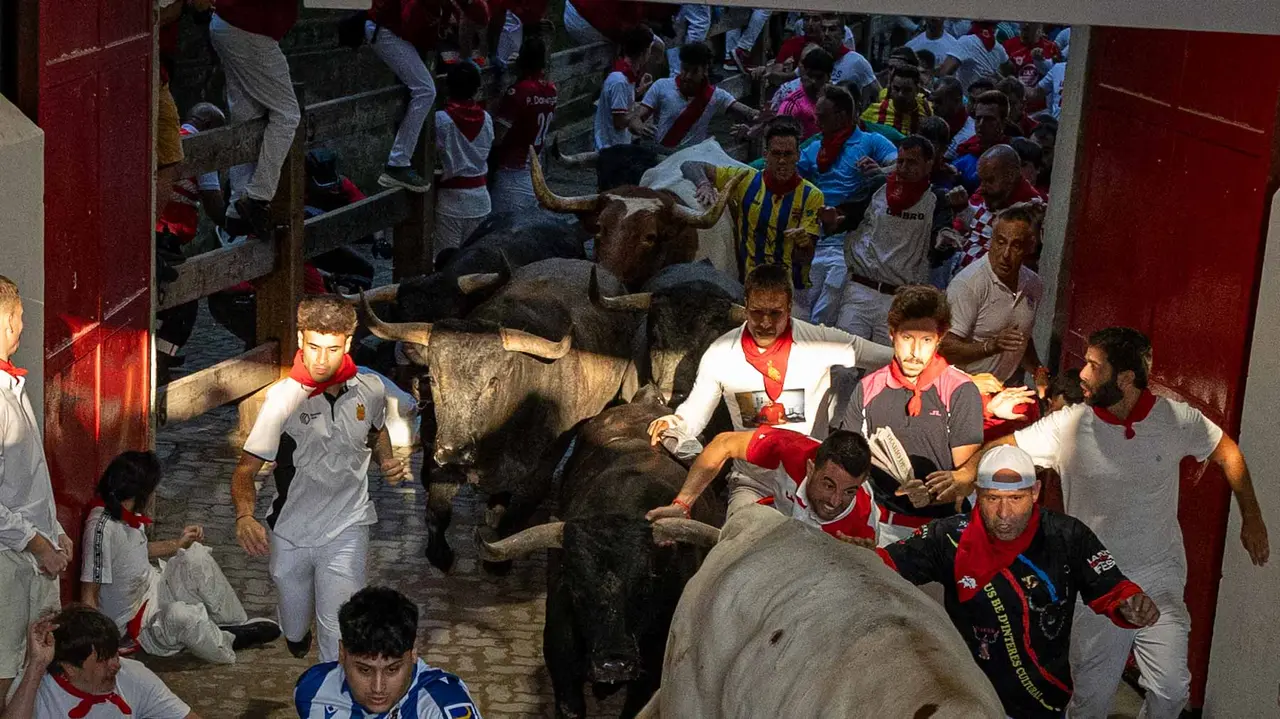Octavo encierro de San Fermín con toros de Miura en callejón entrada plaza. Maite H. Mateo..-10