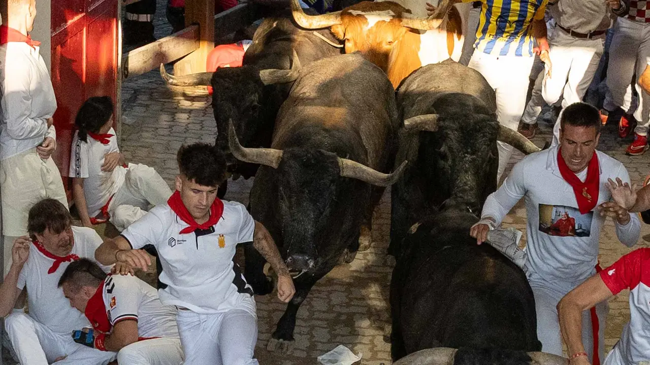 Octavo encierro de San Fermín con toros de Miura en callejón entrada plaza. Maite H. Mateo..-12