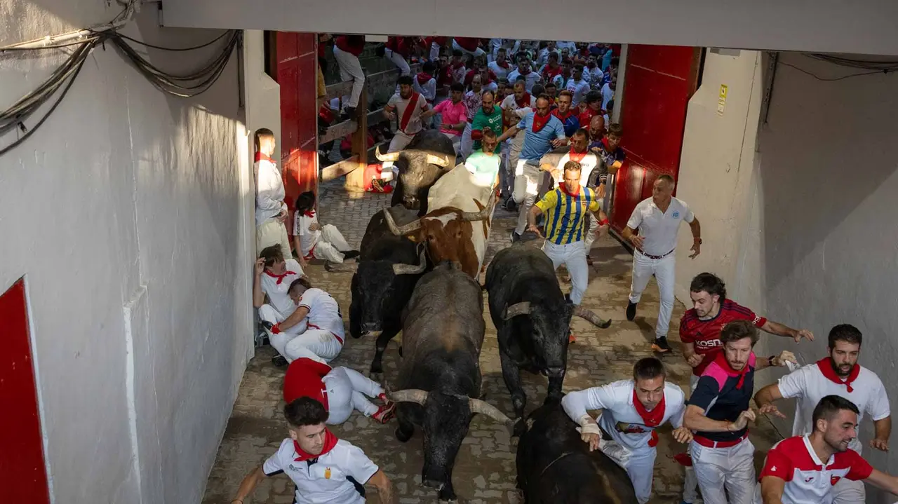 Octavo encierro de San Fermín con toros de Miura en callejón entrada plaza. Maite H. Mateo..-14