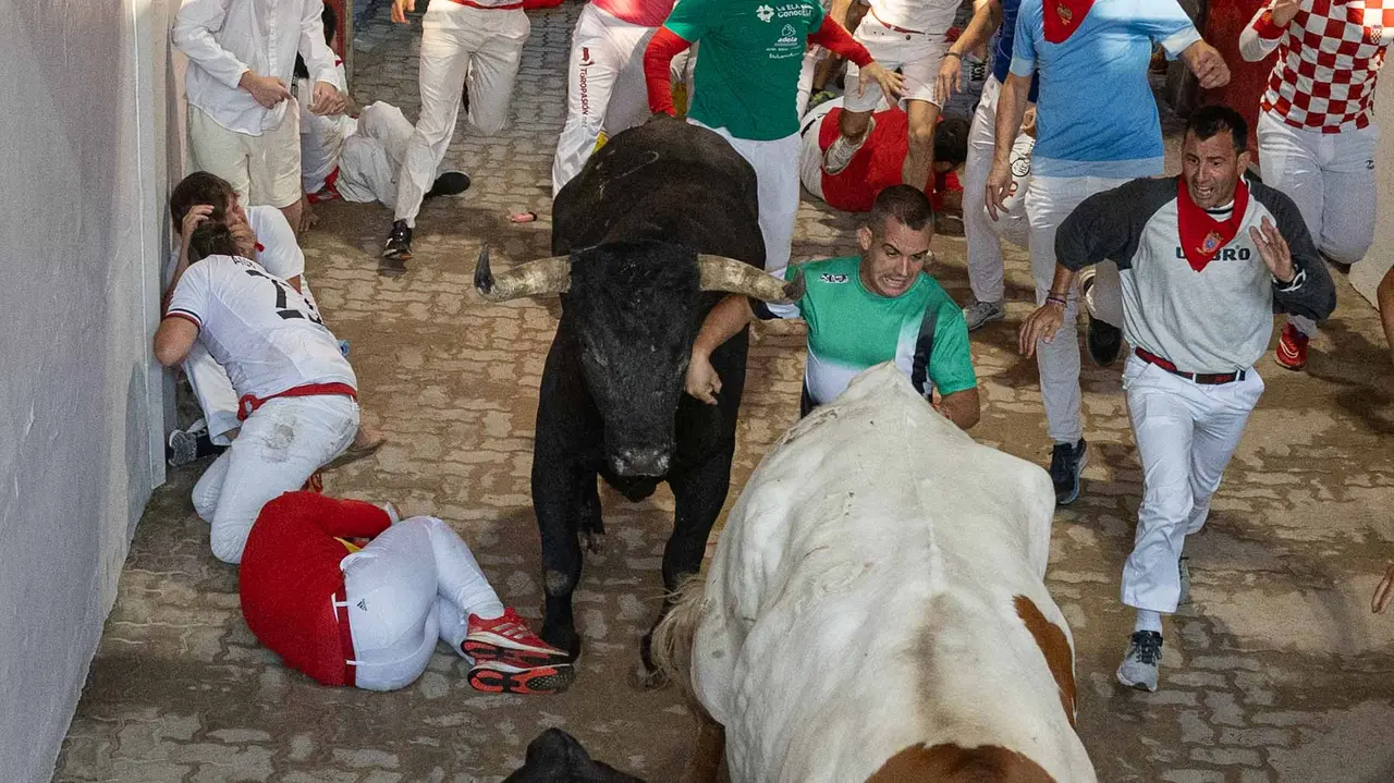 Octavo encierro de San Fermín con toros de Miura en callejón entrada plaza. Maite H. Mateo..-16