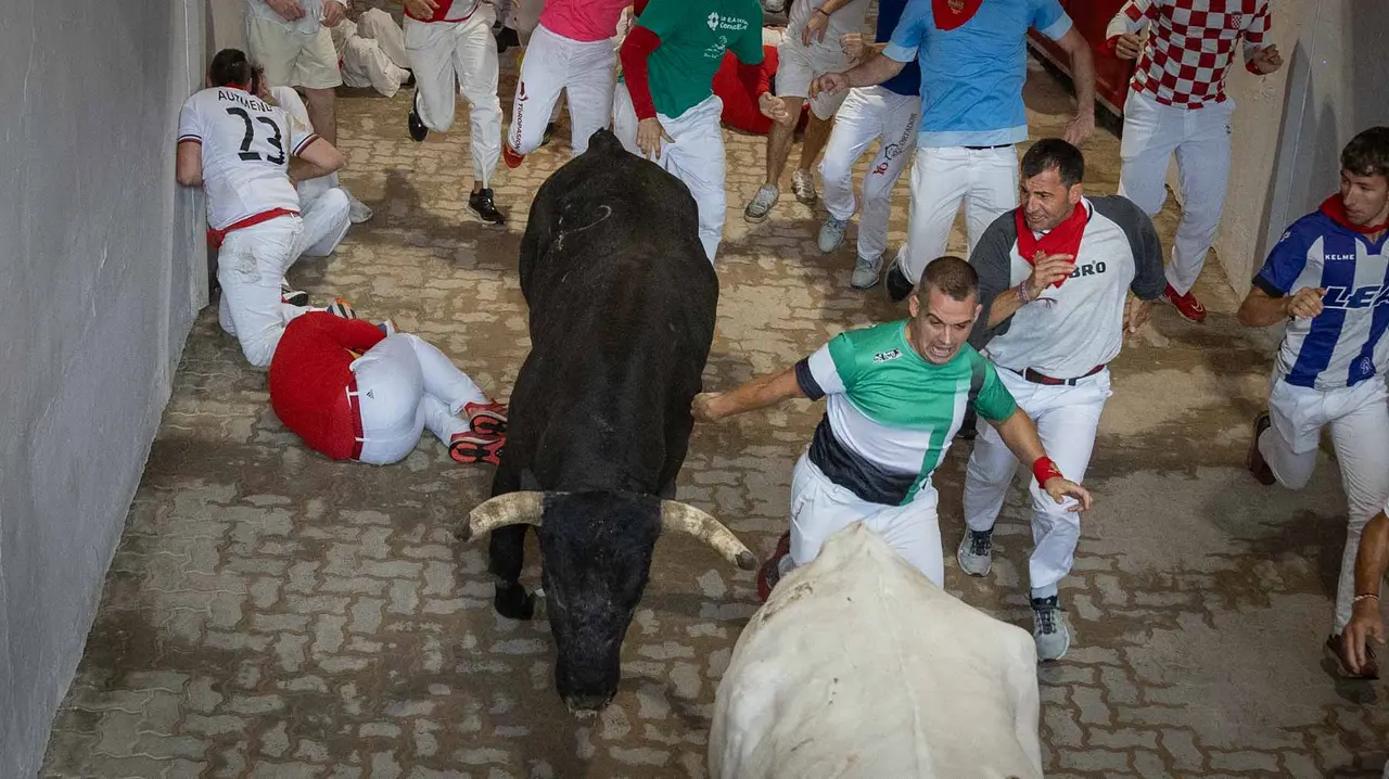 Octavo encierro de San Fermín con toros de Miura en callejón entrada plaza. Maite H. Mateo..-17