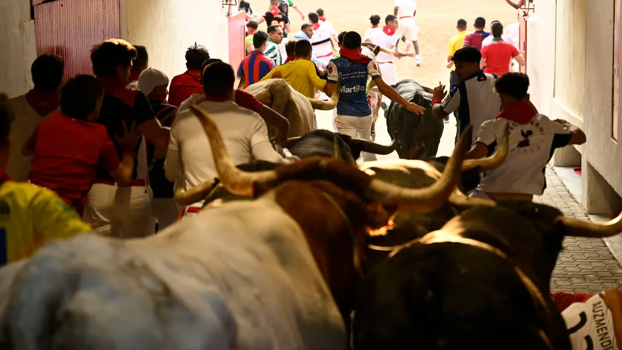 Octavo y último encierro de San Fermín 2025 con toros de Miura en la bajada al callejón. PABLO LASAOSA