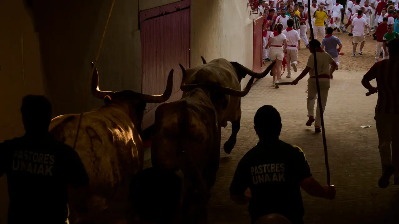 Octavo y último encierro de San Fermín 2025 con toros de Miura en la bajada al callejón. PABLO LASAOSA