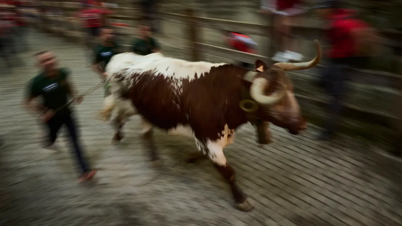 Octavo y último encierro de San Fermín 2025 con toros de Miura en la bajada al callejón. PABLO LASAOSA