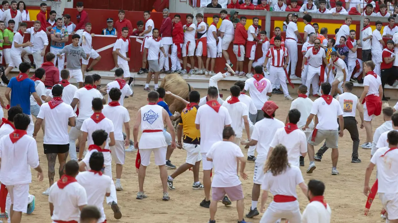 Suelta de vaquillas tras el octavo encierro de San Fermín.Maite H. Mateo..-02