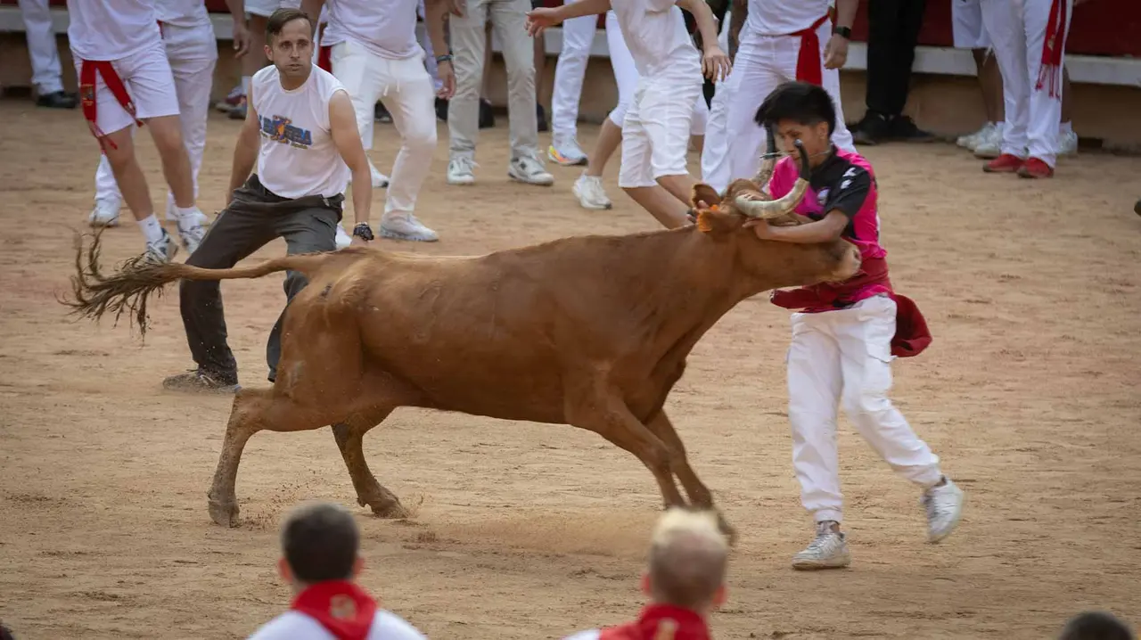 Suelta de vaquillas tras el octavo encierro de San Fermín.Maite H. Mateo..-05