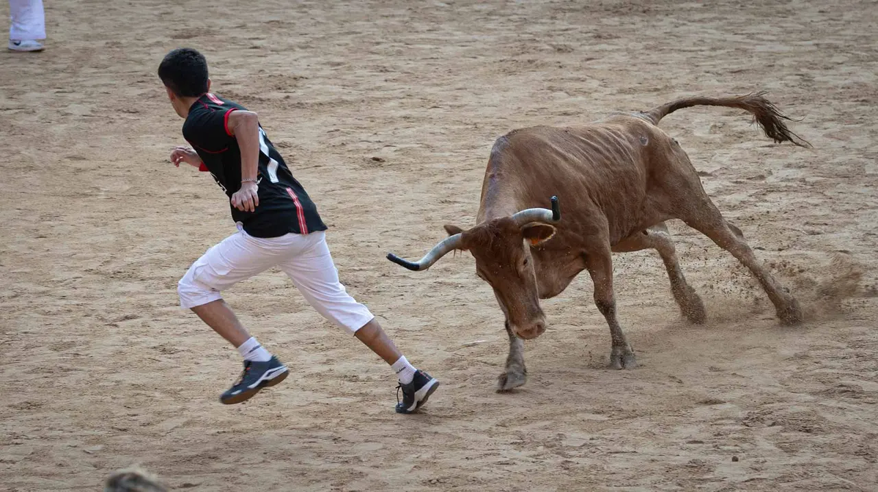 Suelta de vaquillas tras el octavo encierro de San Fermín.Maite H. Mateo..-08
