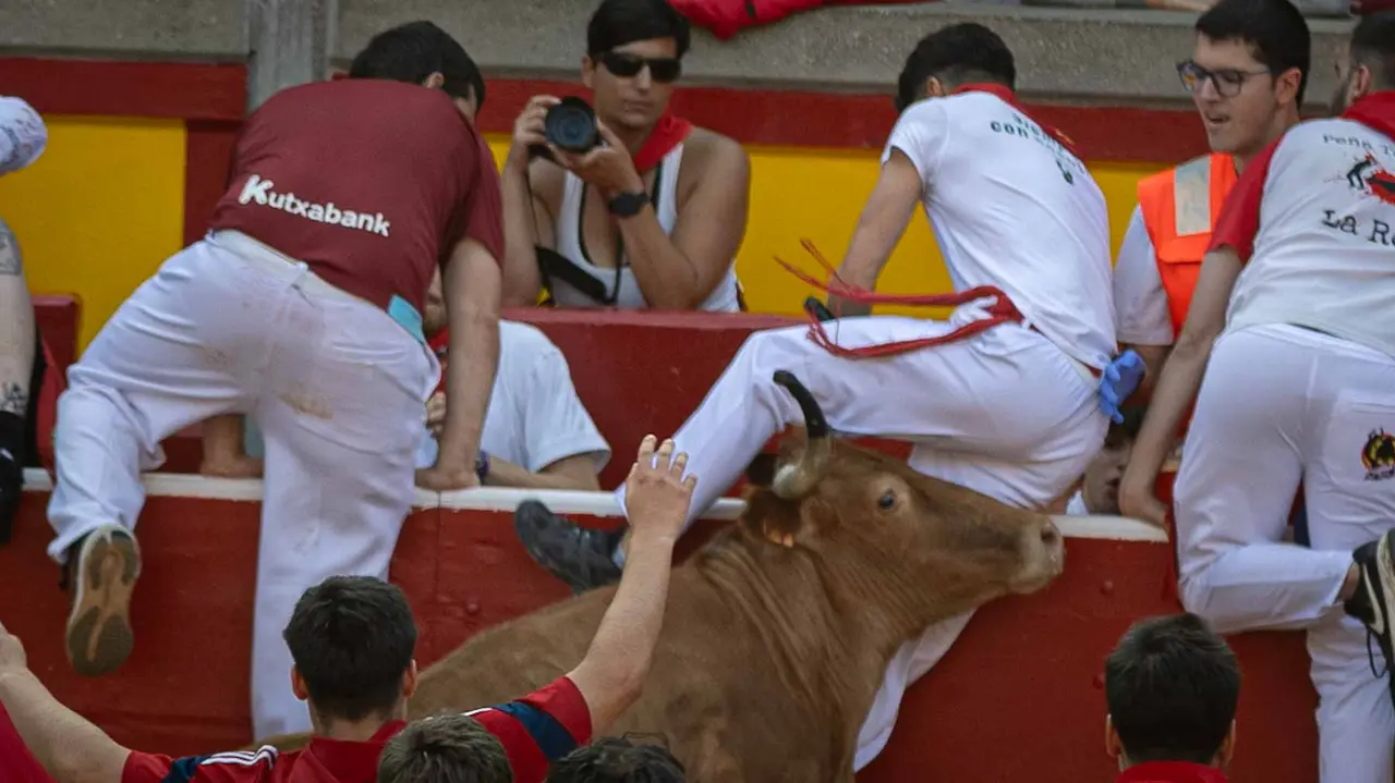 Suelta de vaquillas tras el octavo encierro de San Fermín.Maite H. Mateo..-10