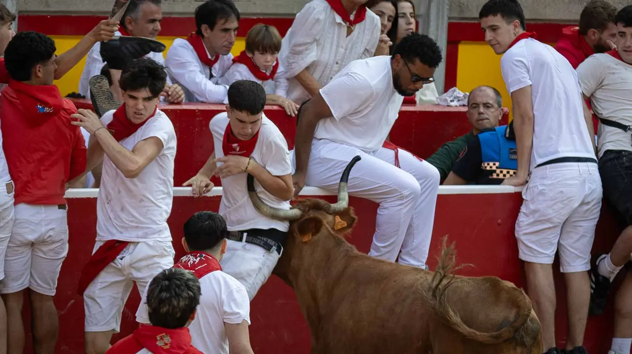 Suelta de vaquillas tras el octavo encierro de San Fermín.Maite H. Mateo..-12