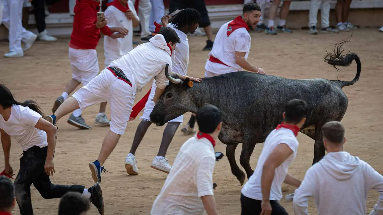 Suelta de vaquillas tras el octavo encierro de San Fermín.Maite H. Mateo..-17