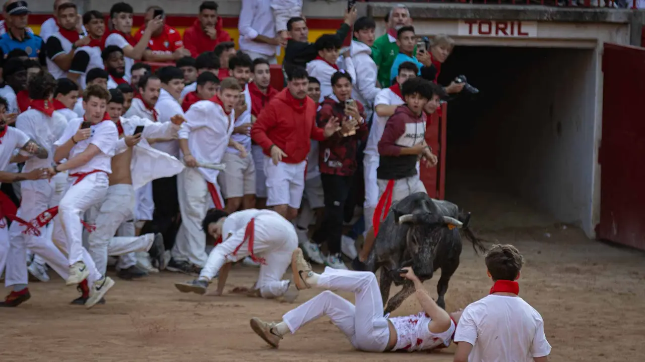 Suelta de vaquillas tras el octavo encierro de San Fermín.Maite H. Mateo..-19
