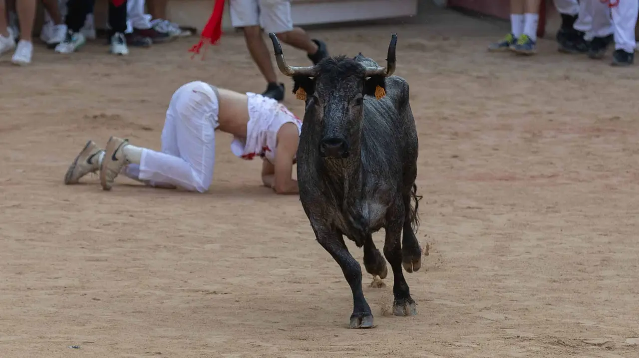 Suelta de vaquillas tras el octavo encierro de San Fermín.Maite H. Mateo..-20