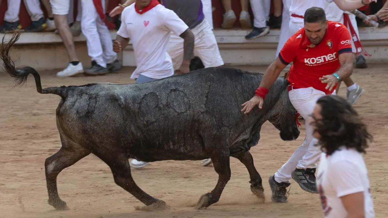 Suelta de vaquillas tras el octavo encierro de San Fermín.Maite H. Mateo..-22