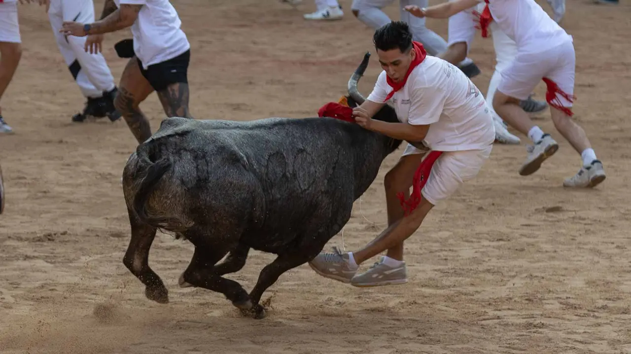 Suelta de vaquillas tras el octavo encierro de San Fermín.Maite H. Mateo..-23