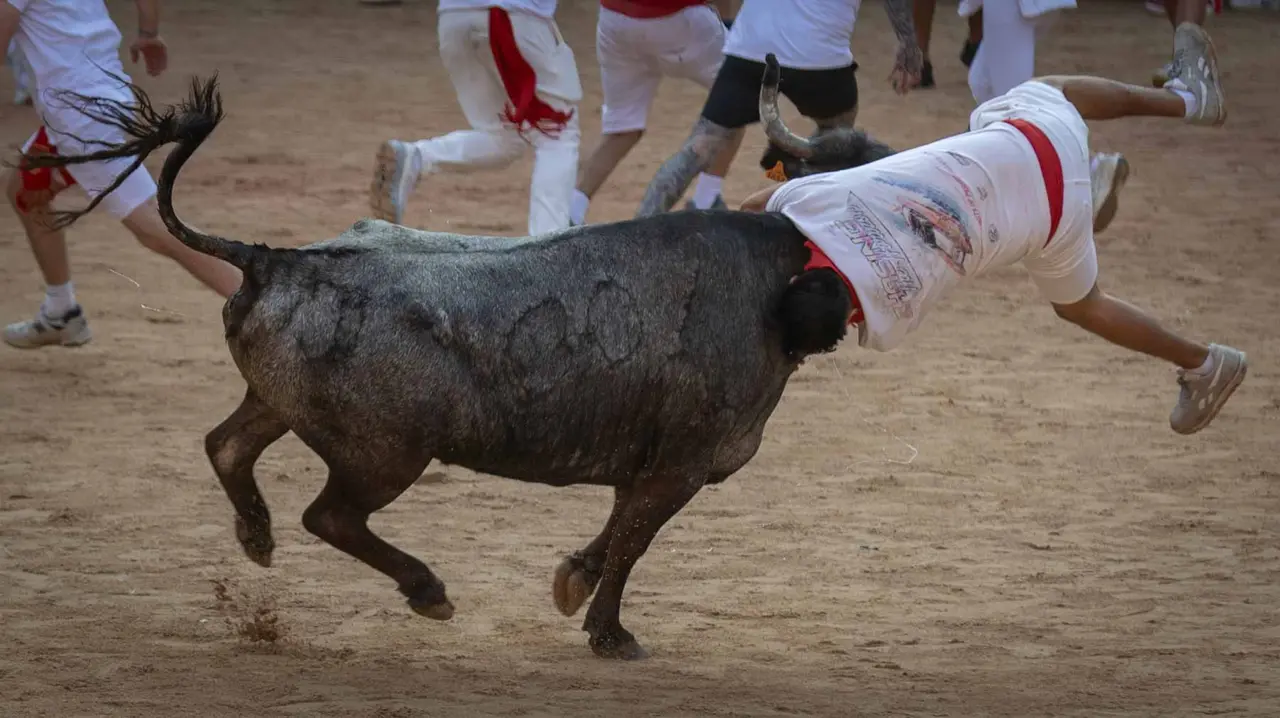 Suelta de vaquillas tras el octavo encierro de San Fermín.Maite H. Mateo..-24